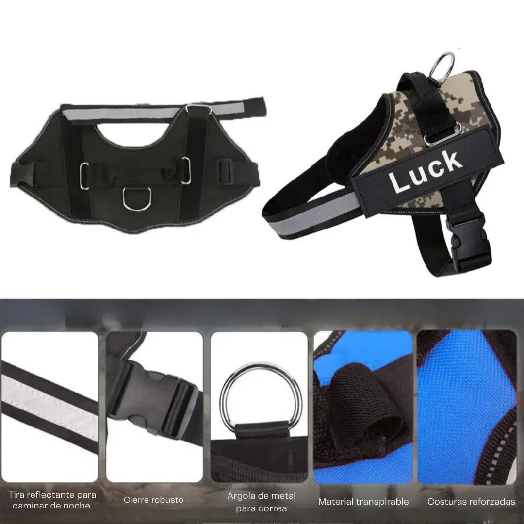Arnés para perro con nombre personalizado