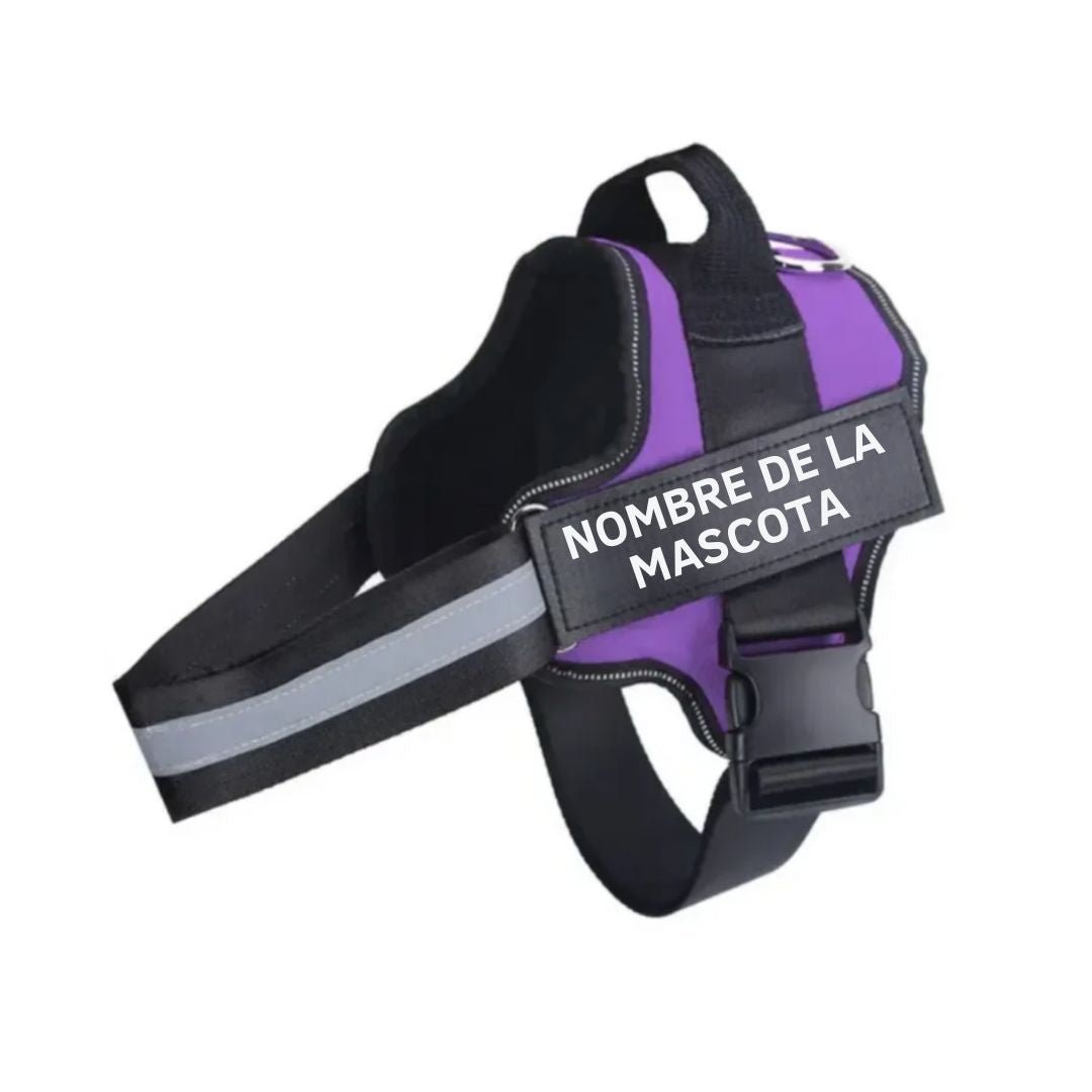 Arnés para perro con nombre personalizado - Hipnotelia