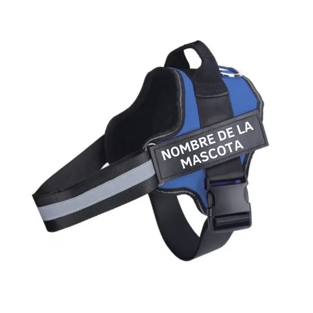 Arnés para perro con nombre personalizado - Hipnotelia