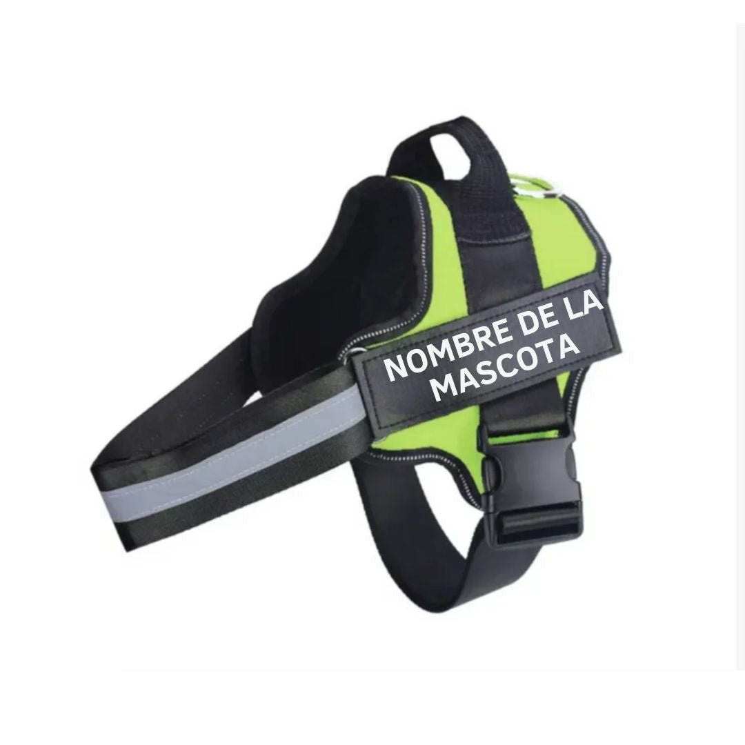 Arnés para perro con nombre personalizado - Hipnotelia