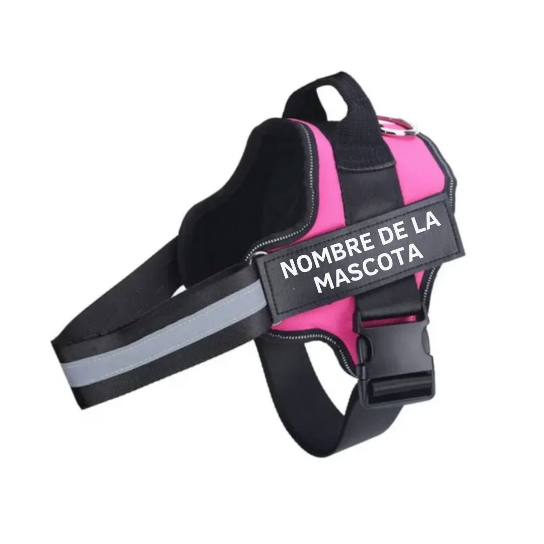 Arnés para perro con nombre personalizado - Hipnotelia