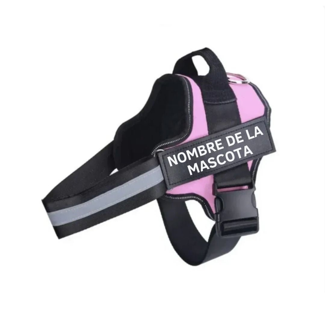 Arnés para perro con nombre personalizado - Hipnotelia