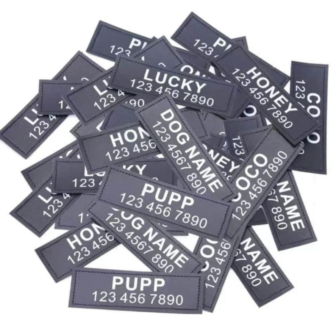 Arnés para perro con nombre personalizado - Hipnotelia