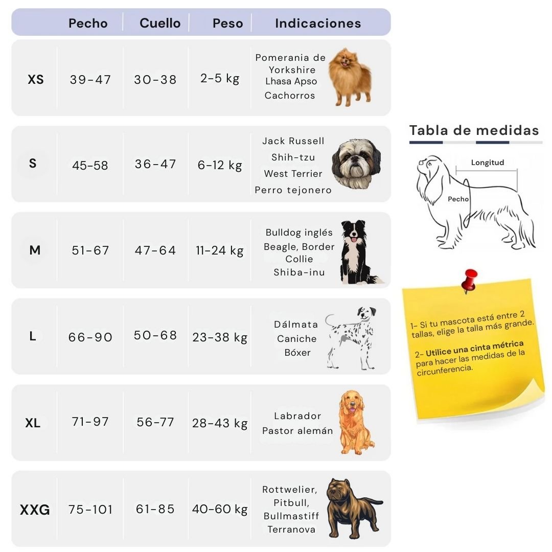 Arnés para perro con nombre personalizado - Hipnotelia
