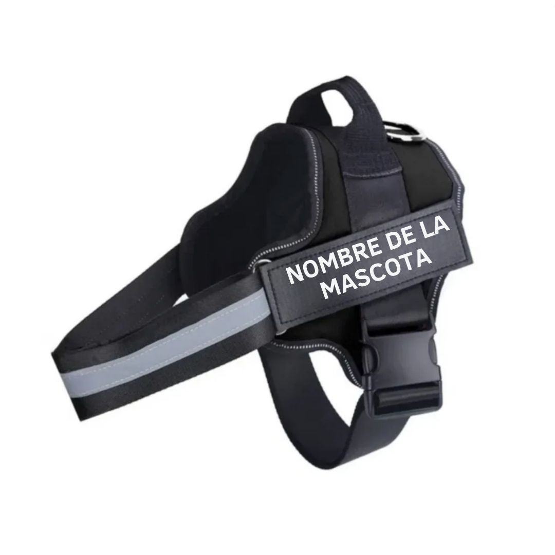 Arnés para perro con nombre personalizado - Hipnotelia