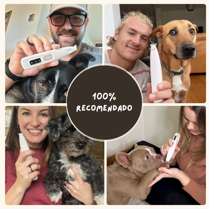 Maquina Rasuradora 3 en 1 para mascotas - Hipnotelia