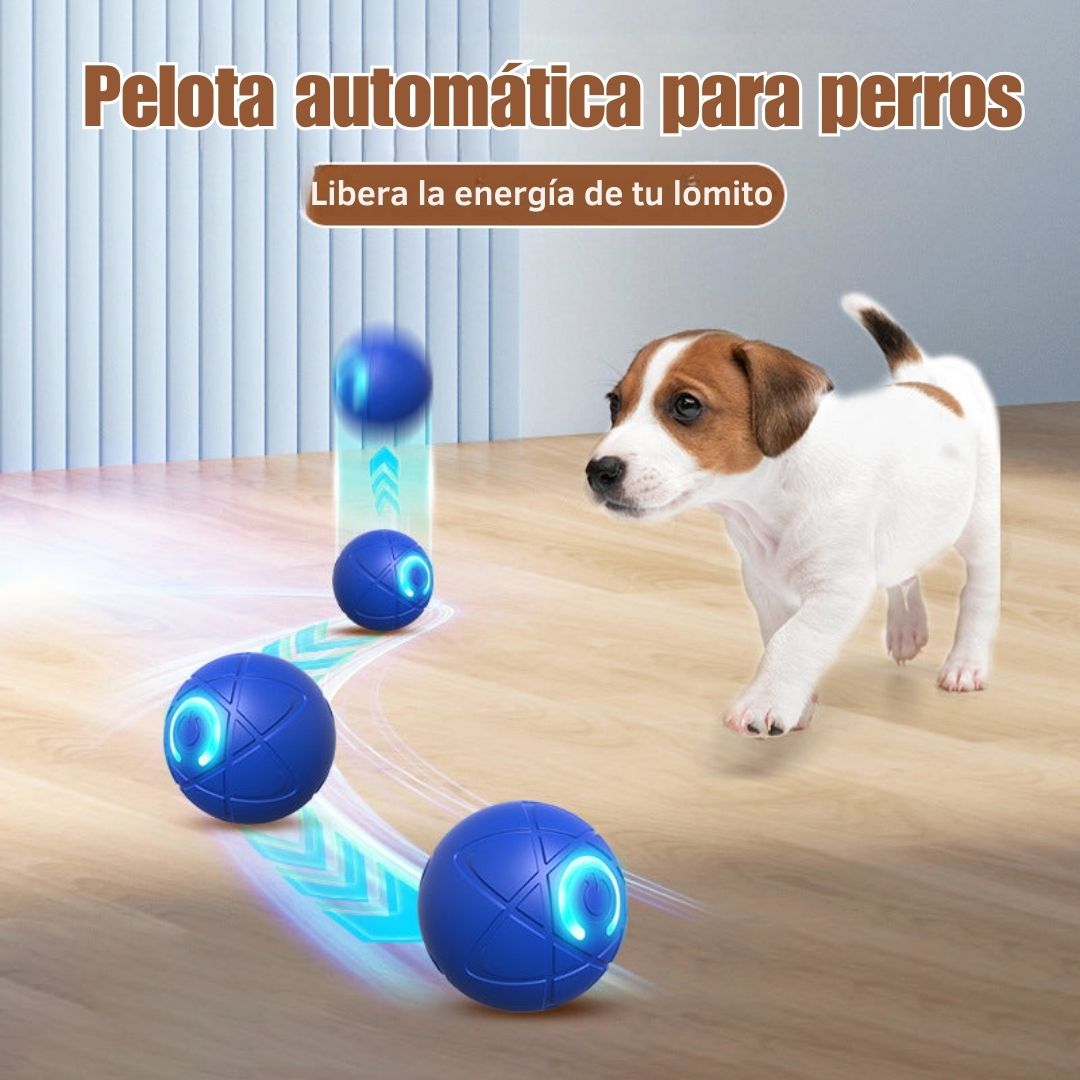 Pelota automática para perros - Hipnotelia