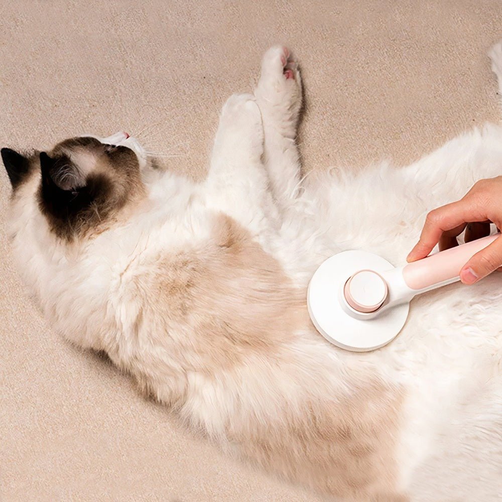 Cepillo para mascotas autolimpiante