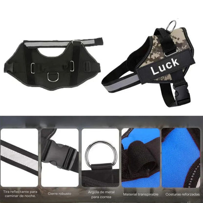 Arnés para perro con nombre personalizado