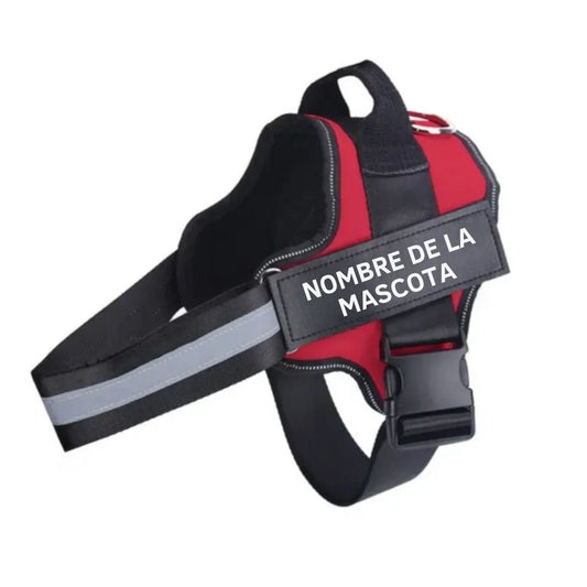Arnés para perro con nombre personalizado - Hipnotelia