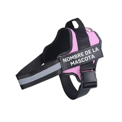 Arnés para perro con nombre personalizado - Hipnotelia