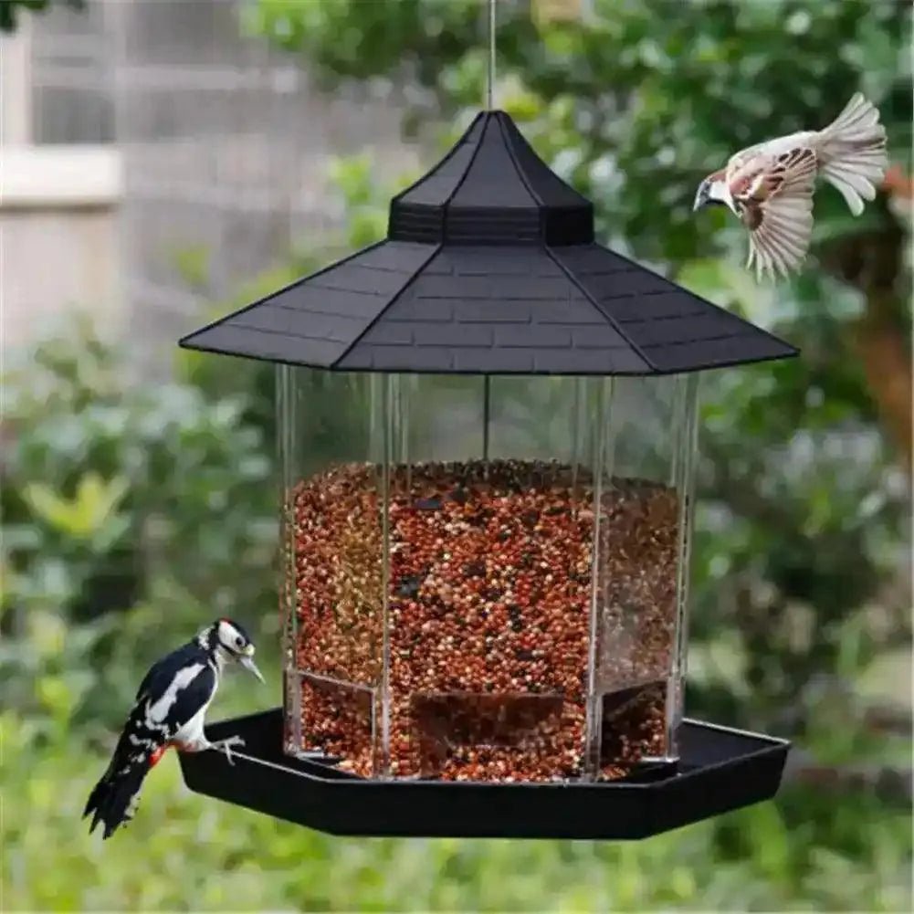 Comedero para pájaros en libertad - Hipnotelia