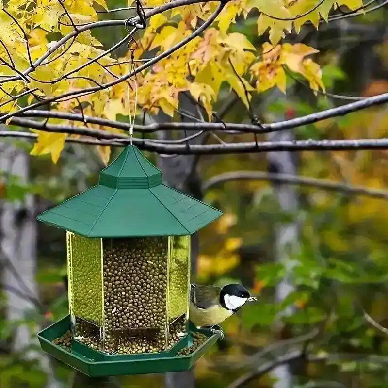 Comedero para pájaros en libertad - Hipnotelia