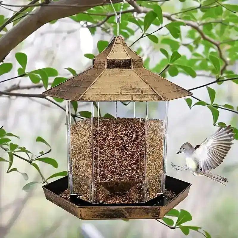 Comedero para pájaros en libertad - Hipnotelia