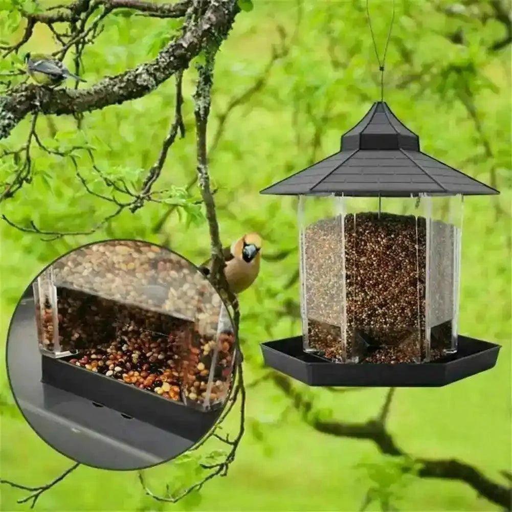 Comedero para pájaros en libertad - Hipnotelia