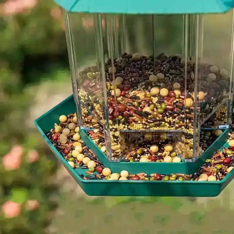Comedero para pájaros en libertad - Hipnotelia
