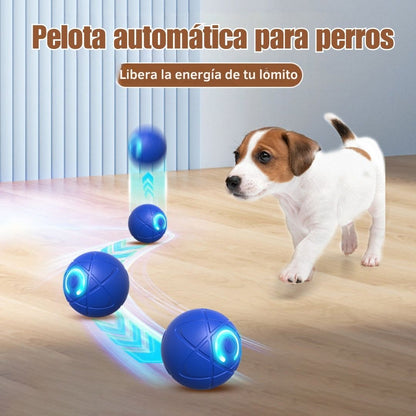 Pelota automática para perros - Hipnotelia