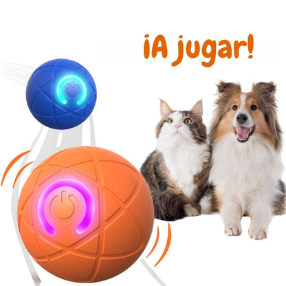 Pelota automática para perros - Hipnotelia