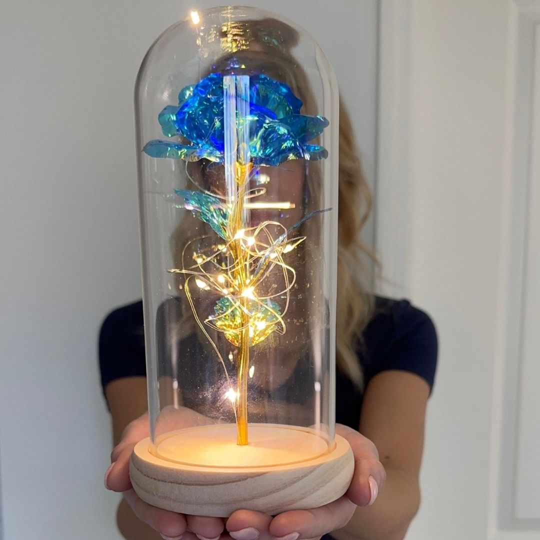 Rosa Encantada con Luces LED - Hipnotelia