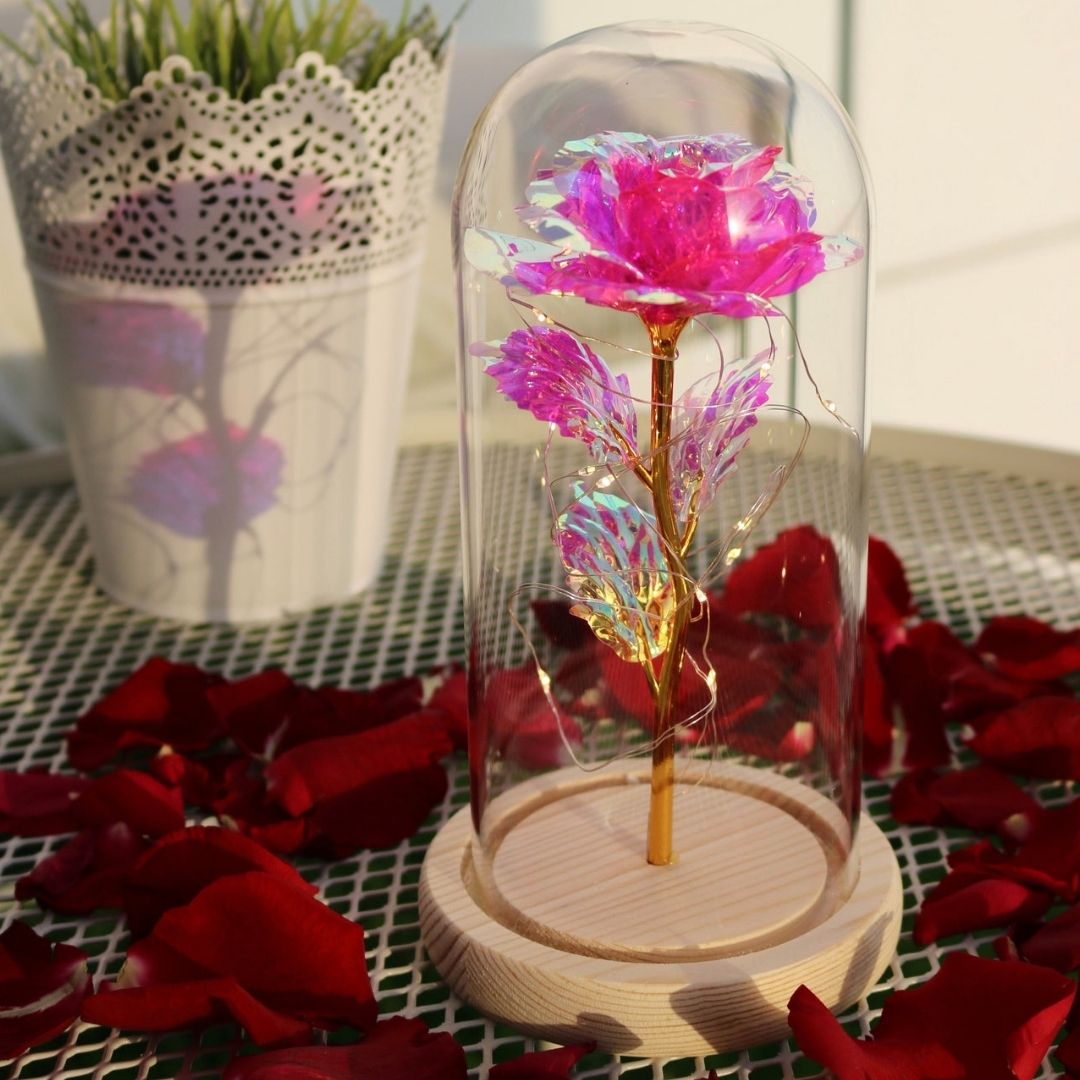 Rosa Encantada con Luces LED - Hipnotelia