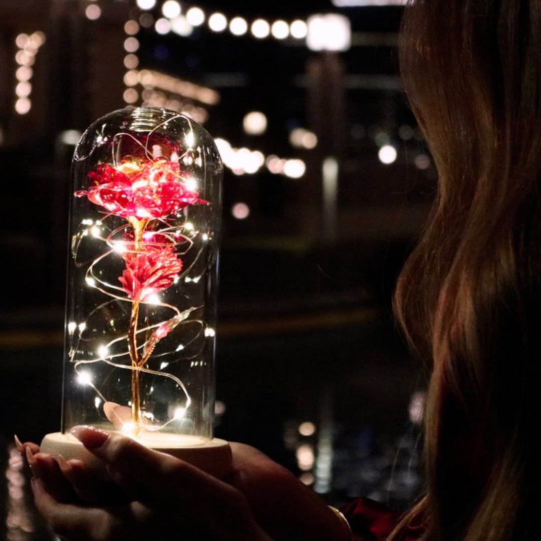 Rosa Encantada con Luces LED - Hipnotelia