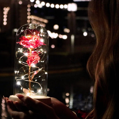 Rosa Encantada con Luces LED - Hipnotelia