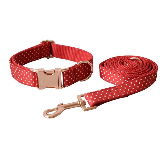 Set de collar para perro - Personalizable - Hipnotelia