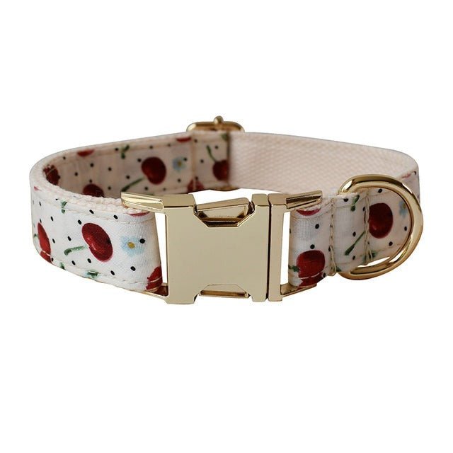 Set de collar para perro - Personalizable - Hipnotelia