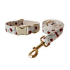 Set de collar para perro - Personalizable - Hipnotelia