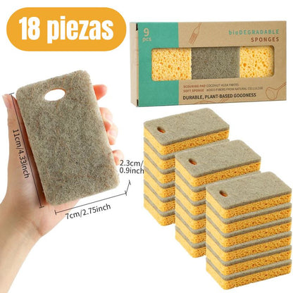 Esponjas para platos premium biodegradables y compostables - Hipnotelia
