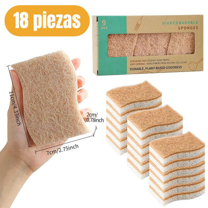 Esponjas para platos premium biodegradables y compostables - Hipnotelia