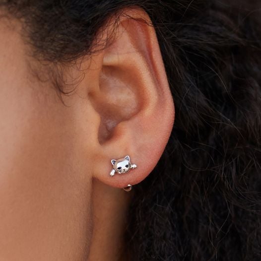 Pendientes de gatito plateado - Hipnotelia